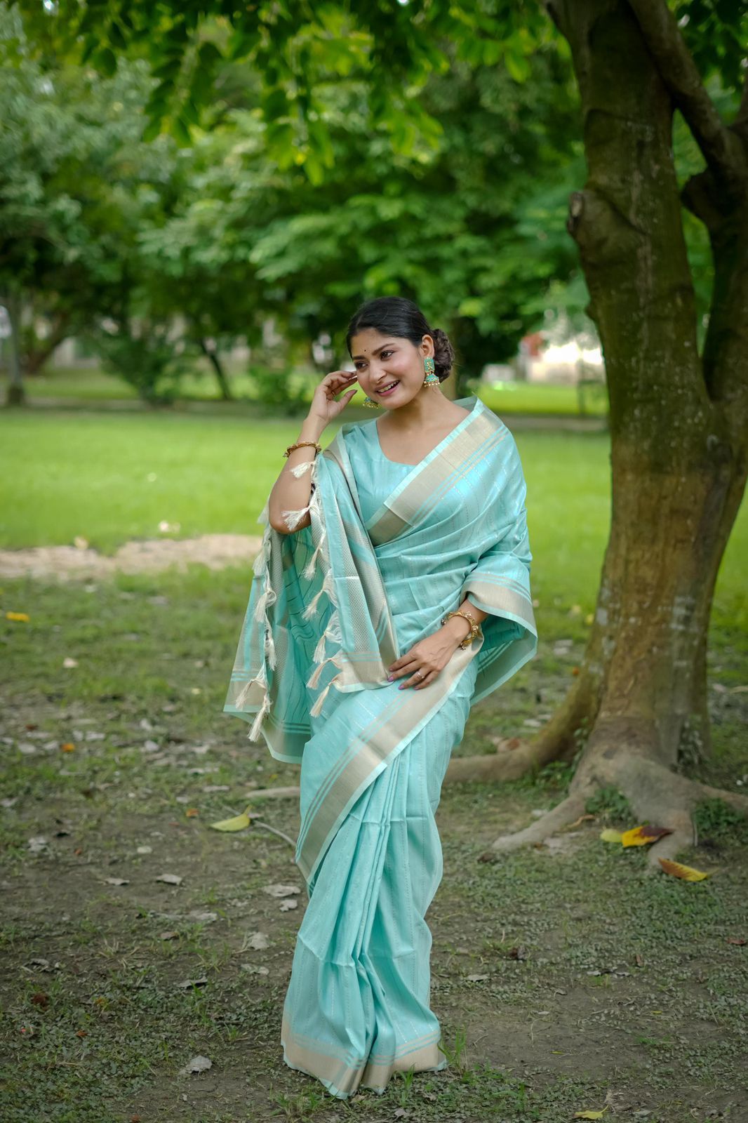 Evergreen Banarasi Raw Silk Saree